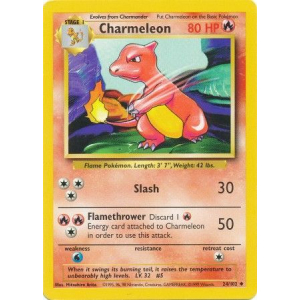 024 Charmeleon