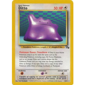 018 Ditto