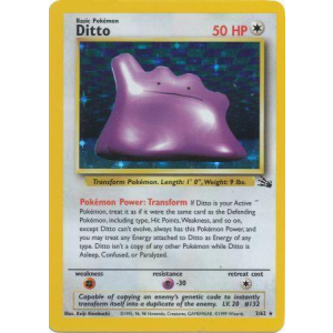 003 Ditto