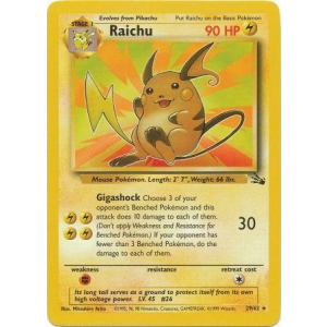 029 Raichu