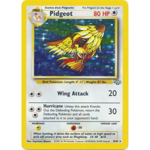 008 Pidgeot