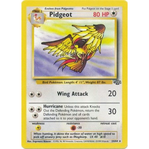 024 Pidgeot
