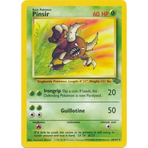 025 Pinsir