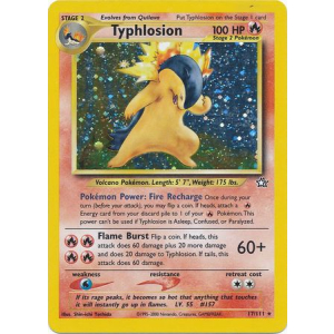 017 Typhlosion