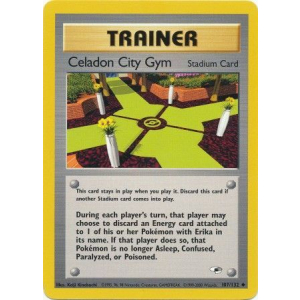 107 Celadon City Gym