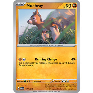 107 DRI Mudbray