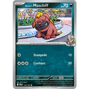 138 DRI Arvens Maschiff