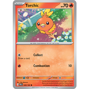 040 DRI Torchic