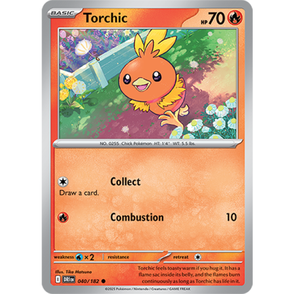 040 DRI Torchic
