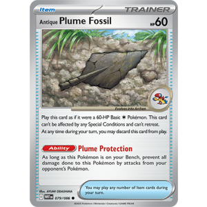 079 WHT Antique Plume Fossil