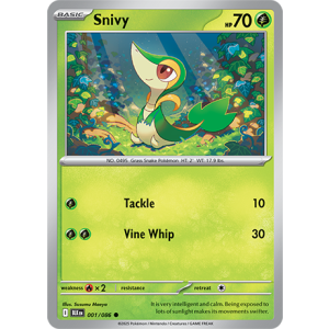 001 BLK Snivy