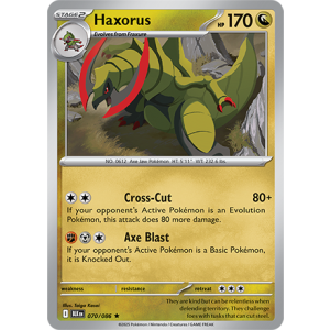 070 BLK Haxorus