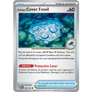 080 BLK Antique Cover Fossil