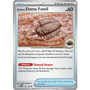 152 MEW Antique Dome Fossil