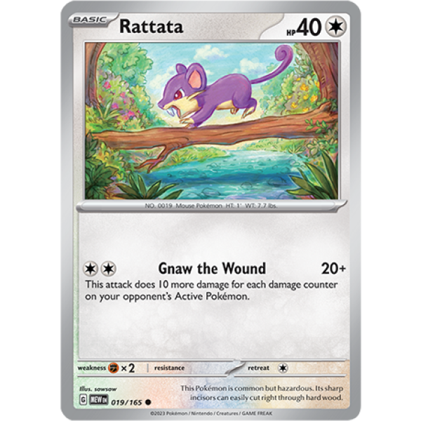 019 MEW Rattata