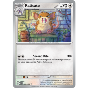 020 MEW Raticate