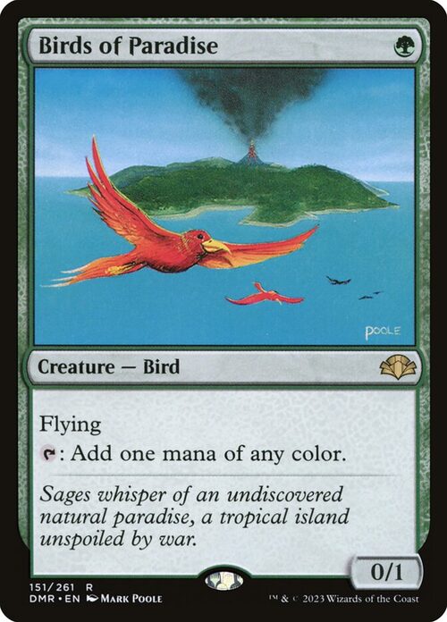 Birds of Paradise [DMR #151] - Normal