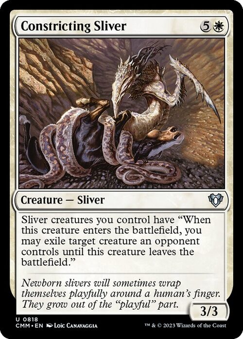Constricting Sliver [CMM #818] - Normal