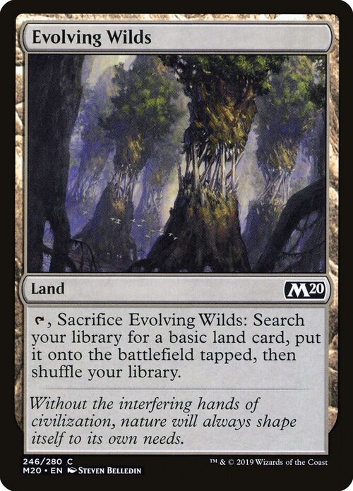 Evolving Wilds [M20 #246] - Normal