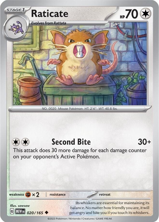 020 MEW Raticate