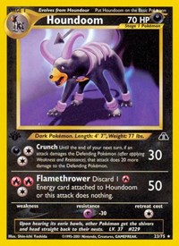 023 Houndoom
