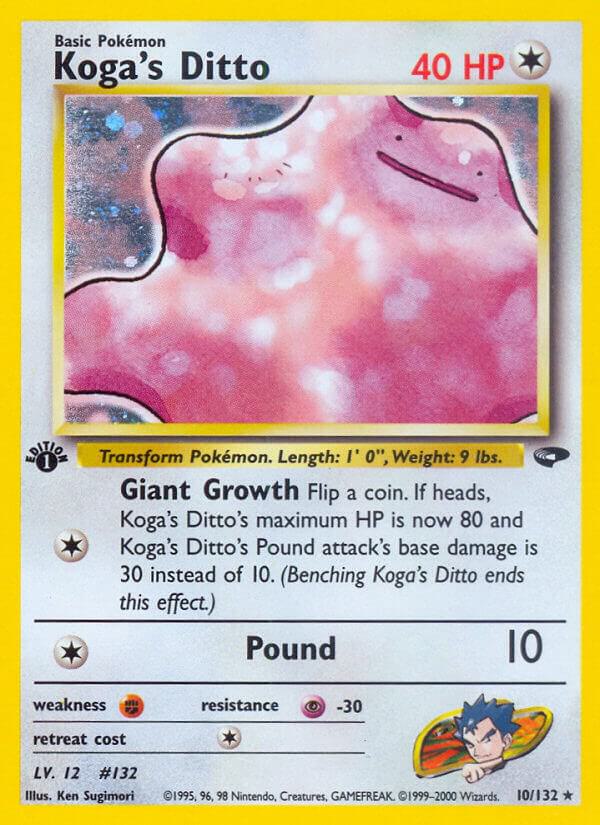 010 Kogas Ditto
