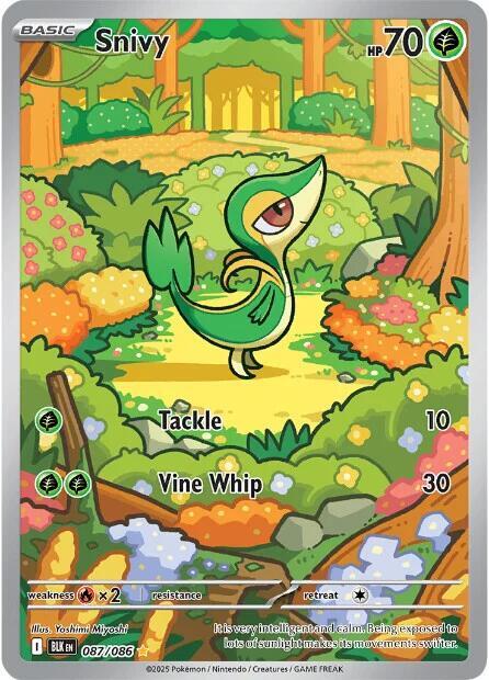 087 BLK Snivy