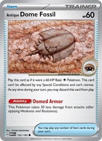 152 MEW Antique Dome Fossil
