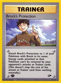 101 Brocks Protection