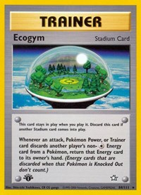 084 Ecogym