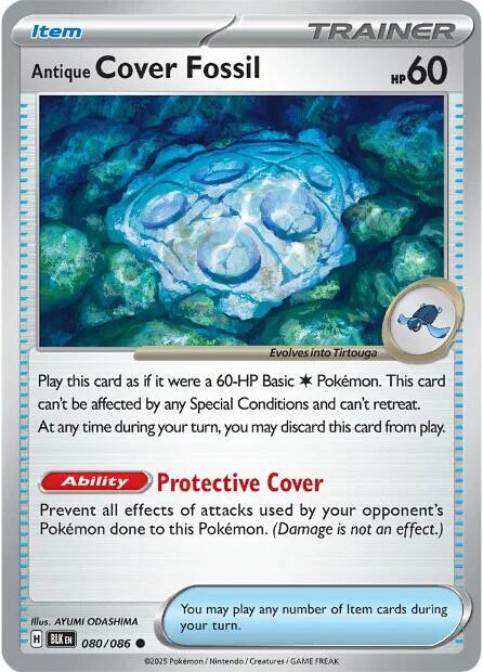 080 BLK Antique Cover Fossil