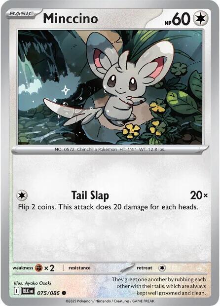 075 BLK Minccino