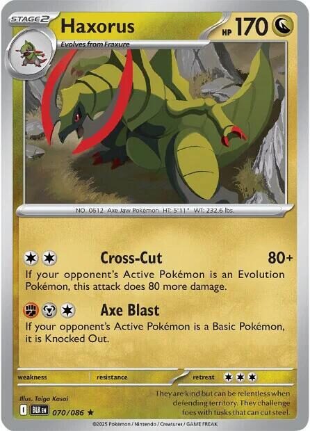 070 BLK Haxorus