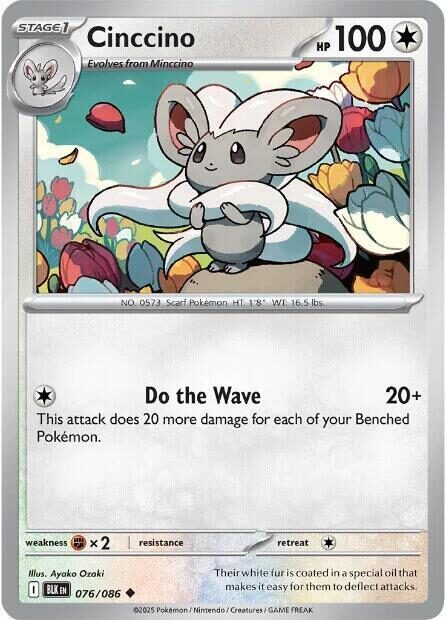 076 BLK Cinccino