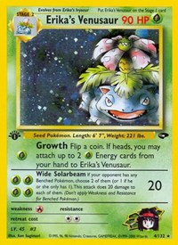 004 Erikas Venusaur