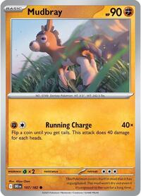 107 DRI Mudbray