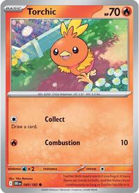 040 DRI Torchic