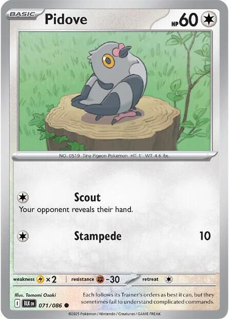 071 BLK Pidove