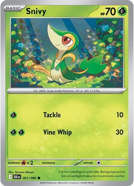 001 BLK Snivy