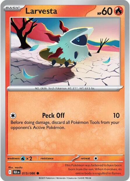 015 BLK Larvesta