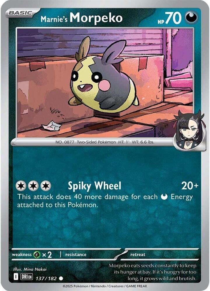 137 DRI Marnies Morpeko