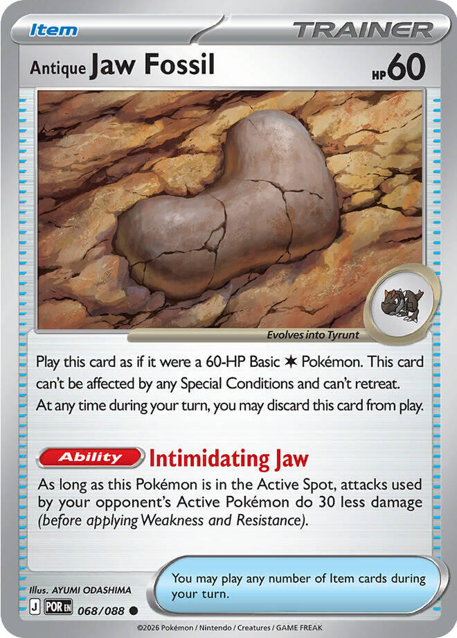 068 ME03 Antique Jaw Fossil