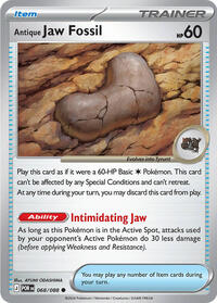 068 ME03 Antique Jaw Fossil